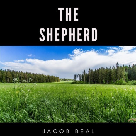 The Shepherd (Remix) | Boomplay Music