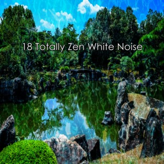18 Bruit blanc totalement zen (2022 Bruit de l'esprit Records)