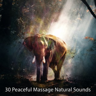 30 Massage Paisible Sons Naturels (2022 Inquiet pour rien Records)