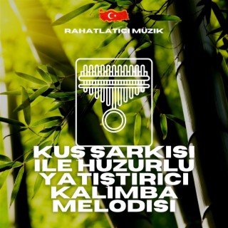 Kuş Şarkısı ile Huzurlu Yatıştırıcı Kalimba Melodisi - Uyku ve Rahatlama İçin Mükemmel