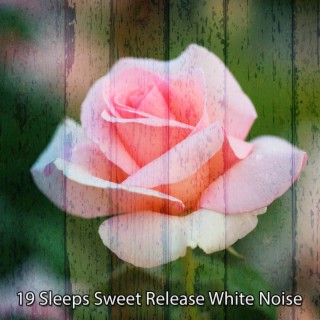 19 Sleeps Sweet Release White Noise (2022 Inquiet pour rien Records)