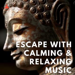 Escape with Calming & Relaxing Music