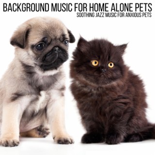 Soothing Jazz Music for Anxious Pets