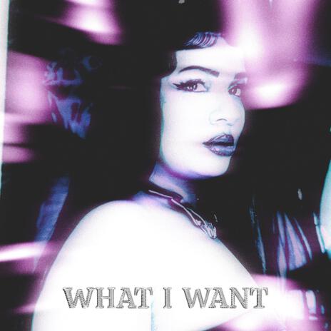 What I Want ft. WD4D | Boomplay Music