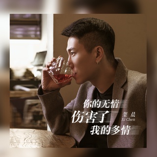 你的无情伤害了我的多情 lyrics | Boomplay Music