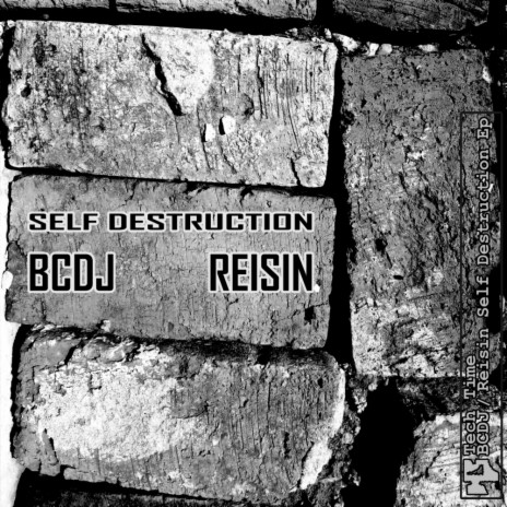 Self Destruction (Reisin Remix)