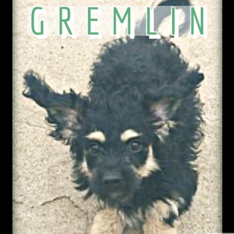 Gremlin | Boomplay Music