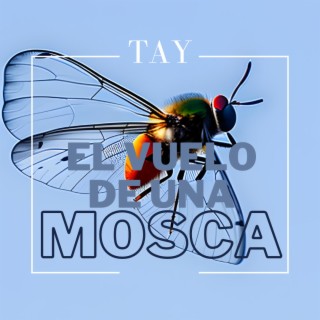 El vuelo de una mosca