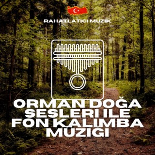 Orman Doğa Sesleri ile Fon Kalimba Müziği