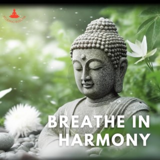 Breathe in Harmony