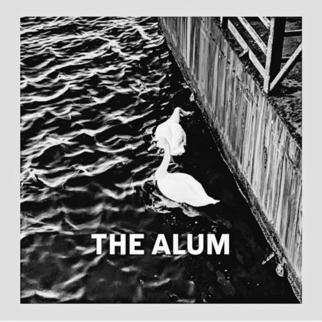 The Alum | Boomplay Music