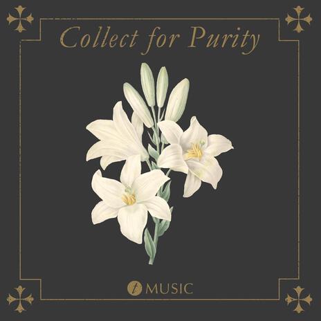 Collect for Purity ft. Sarah Anders | Boomplay Music