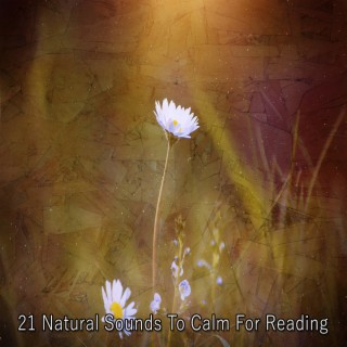 21 Sons naturels pour calmer la lecture (2022 Inquiet pour rien Records)