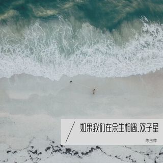 如果我们在余生相遇.双子座 lyrics | Boomplay Music