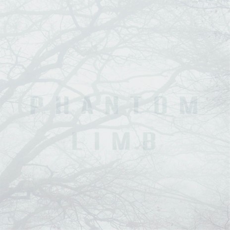 Phantom Limb (feat. Mikae) | Boomplay Music