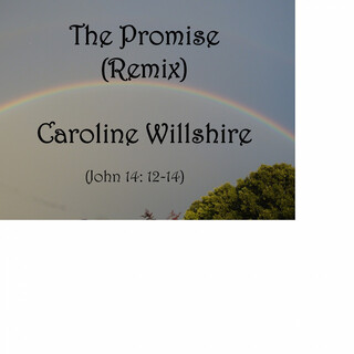 The Promise (Remix)