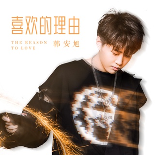 喜欢的理由 (伴奏) lyrics | Boomplay Music