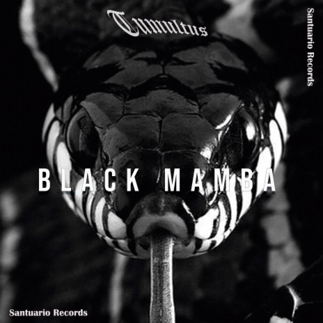 Black Mamba | Boomplay Music