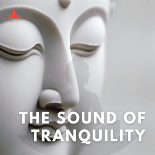 The Sound of Tranquility