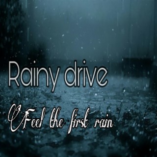 Rainy drive