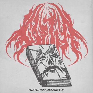 Naturam Demonto lyrics | Boomplay Music