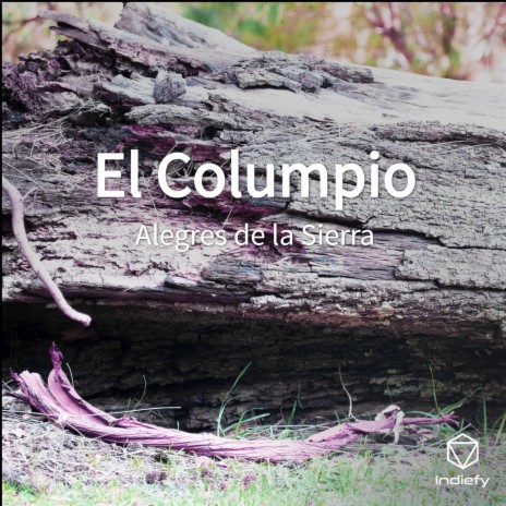 El Columpio | Boomplay Music