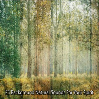 25 Des sons naturels de fond pour votre esprit (2022 Records de la nature de l'esprit éveillé)