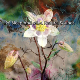 25 Sons naturels du sommeil et de l'esprit (2022 Inquiet pour rien Records)