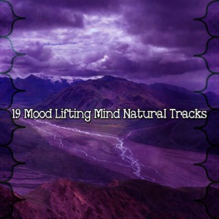 19 Mood Lifting Mind Natural Tracks (2022 Natures Stream Studios)