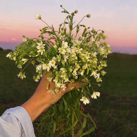 wildwood flowers