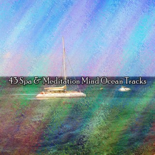 43 Spa & Méditation Mind Ocean Tracks (2022 Inquiet pour rien Records)