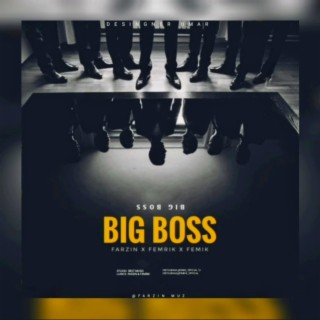 Big Boss: albums, songs, playlists