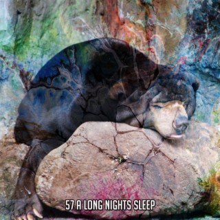 57 Une longue nuit de sommeil (2022 Studios de l'heure du coucher)