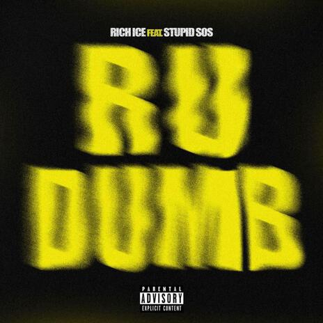 R u dumb ft. Stupid sos | Boomplay Music