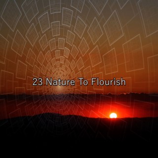 23 Nature à fleurir (2022 Records nocturnes de la nature)