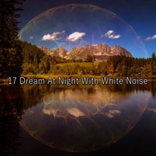 17 Rêver la nuit avec un bruit blanc (2022 Bruit de l'esprit Records)