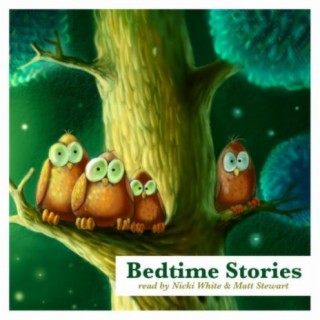 Bedtime Stories