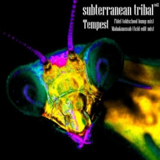 Subterranean Tribal Vol.2