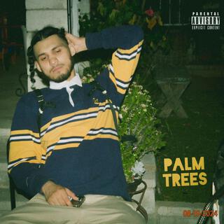 Palm Trees lyrics | Boomplay Music