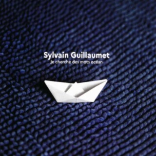 Sylvain Guillaumet