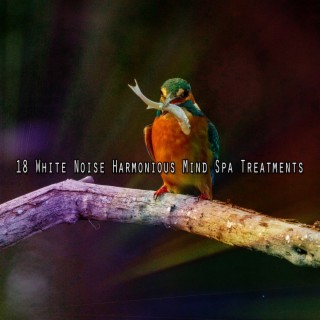 18 White Noise Harmonious Mind Spa Traitements (2022 Les plus grands records de rebonds)