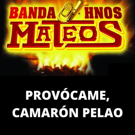 Provócame, Camarón Pelao (En Vivo) | Boomplay Music