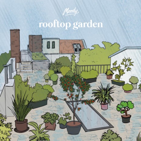 rooftop garden