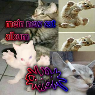 Mein New Cat Album