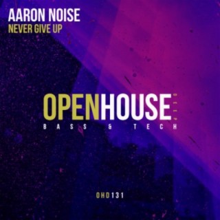 Aaron Noise