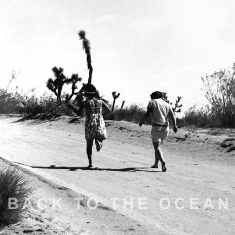 Back to the Ocean | Boomplay Music