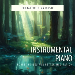 Instrumental Piano (Forest Noises for Better Meditation)