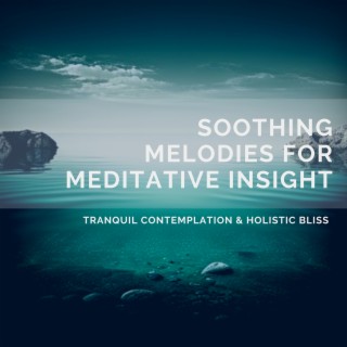 Soothing Melodies for Meditative Insight, Tranquil Contemplation & Holistic Bliss