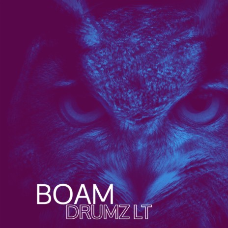 BOAM TRAP | Boomplay Music