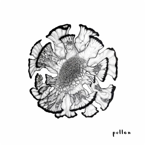 Pollen | Boomplay Music